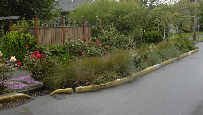Green street installation on SE Ankeny St.